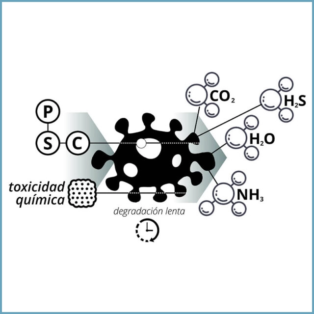 Bacterias heterótrofas para descomposición de materia orgánica