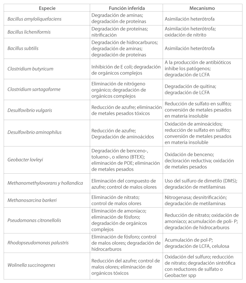 Tipos de bacterias que contiene MICROBE/LIFT® IND