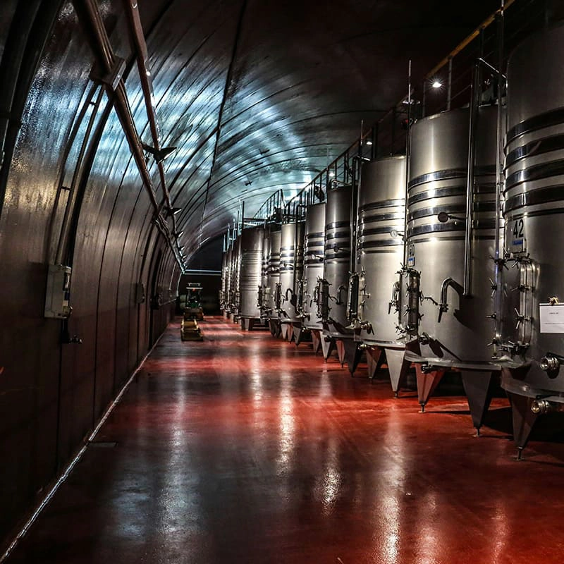 Interior de una bodega de vino